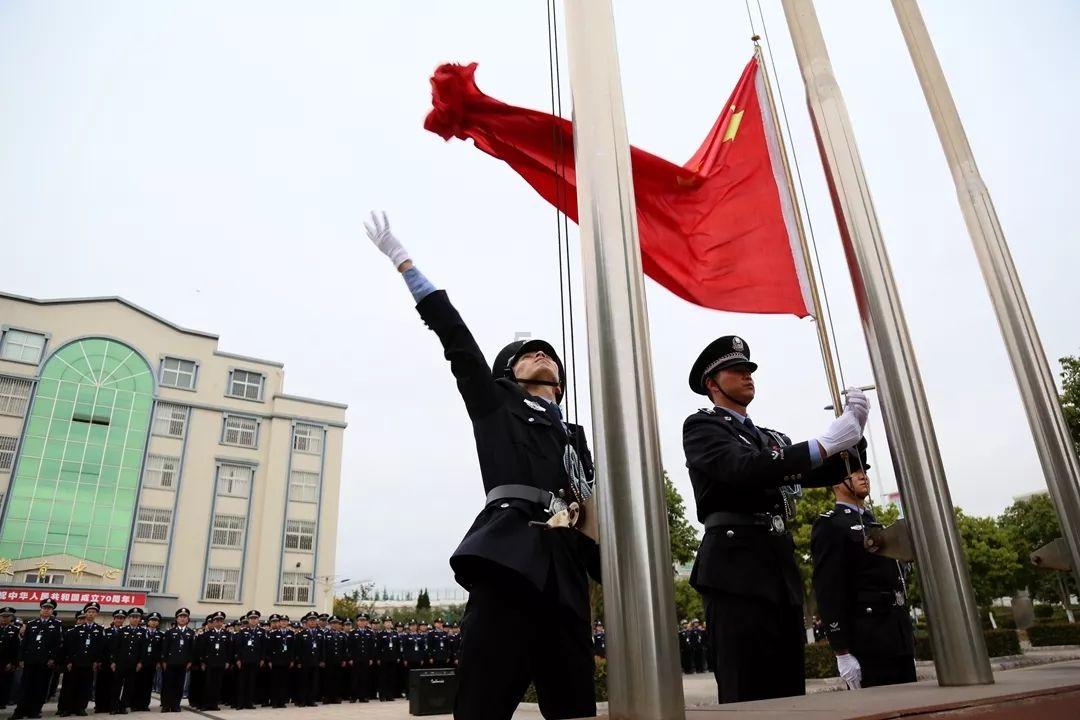 口袋森林世界杯防守战