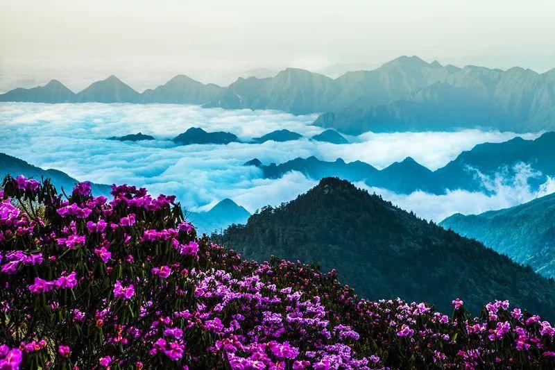 豪宅屋顶逃脱